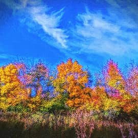 белые крылья осени