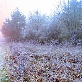 Морозное утро.