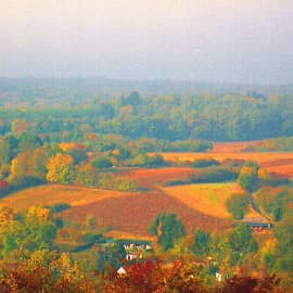 осень на полях