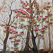 Заповедник лес