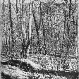 Весенний свет