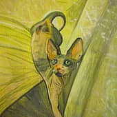 "Яркая девочка"