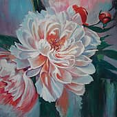 Белые пионы.