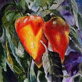 На грядке. Перец.