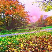 Осенний вечер.