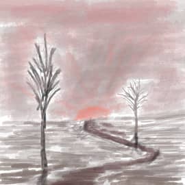 Два дерева и закат