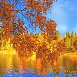 осенние берега,2