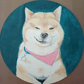 Акита-ину, портрет собаки(по фото из интернета)