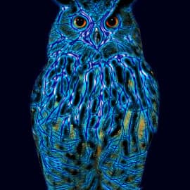 Мудрая сова