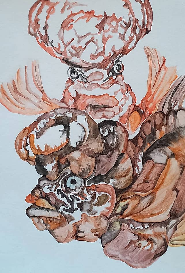 Странные рыбки(коричневые)