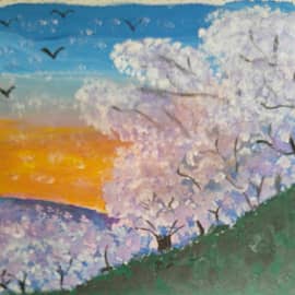 Вишня в цвету