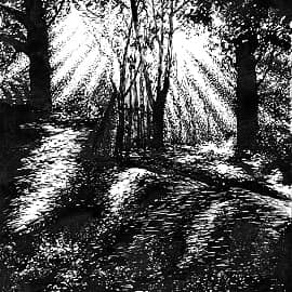 Солнечное эхо  Solar Echo