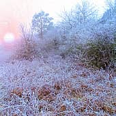 Морозный рассвет.