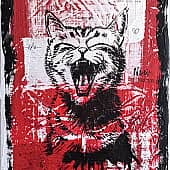 Красное и белое. Кот