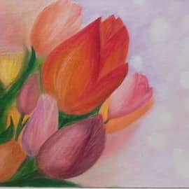 Тюльпаны