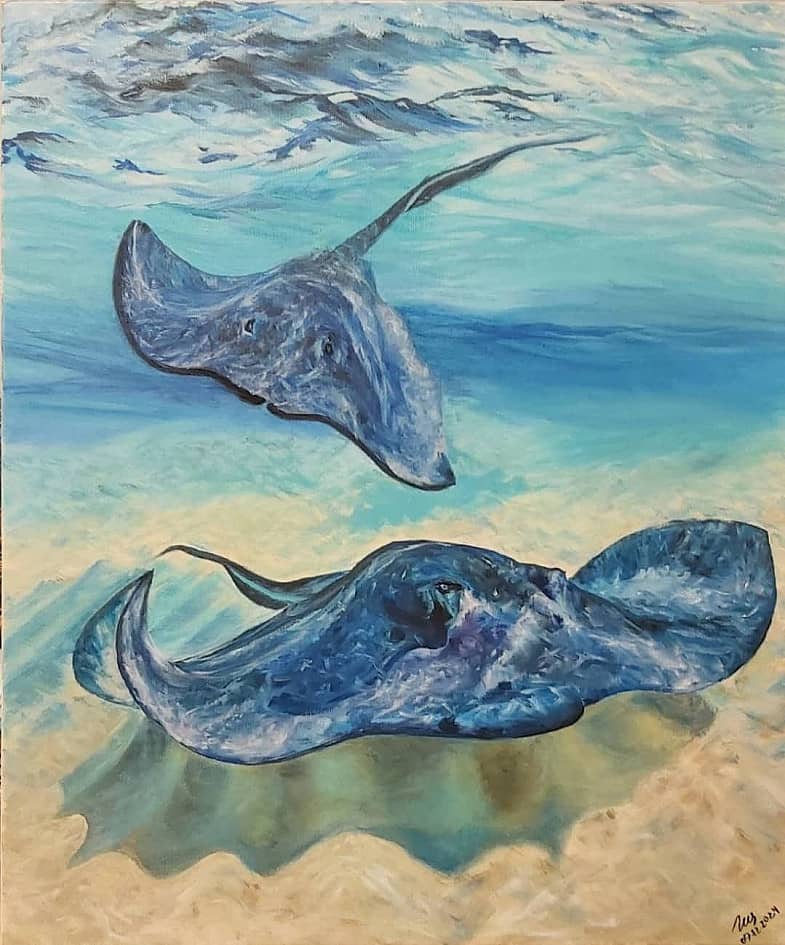 Кто живёт на мелководье? Скаты.