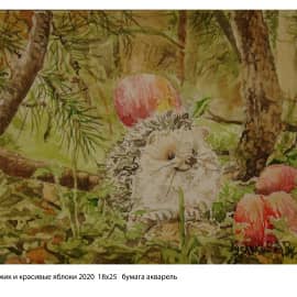 Ежик и красивые яблоки 2020  18х25   бумага акварель