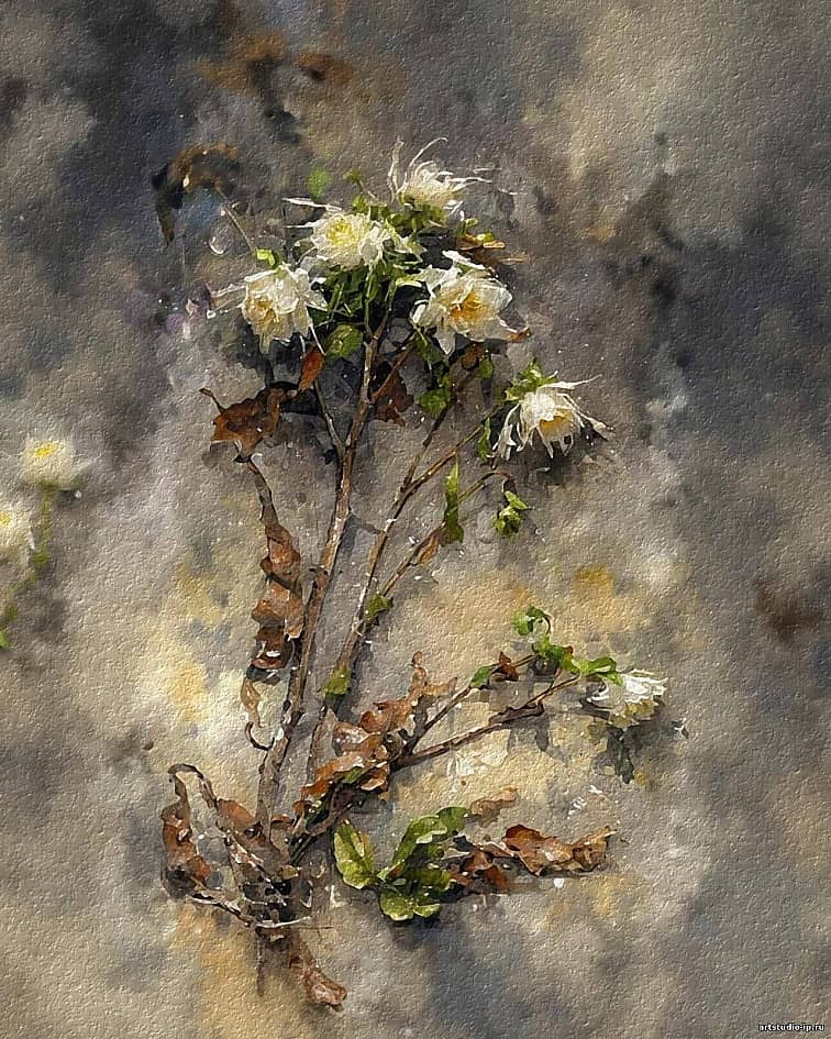 ЦВЕТЫ НА СНЕГУ АКВАРЕЛЬ. 40Х50