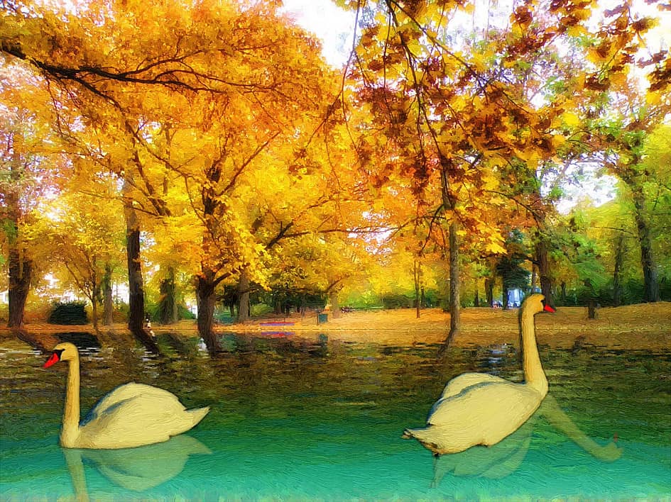 В городском парке.