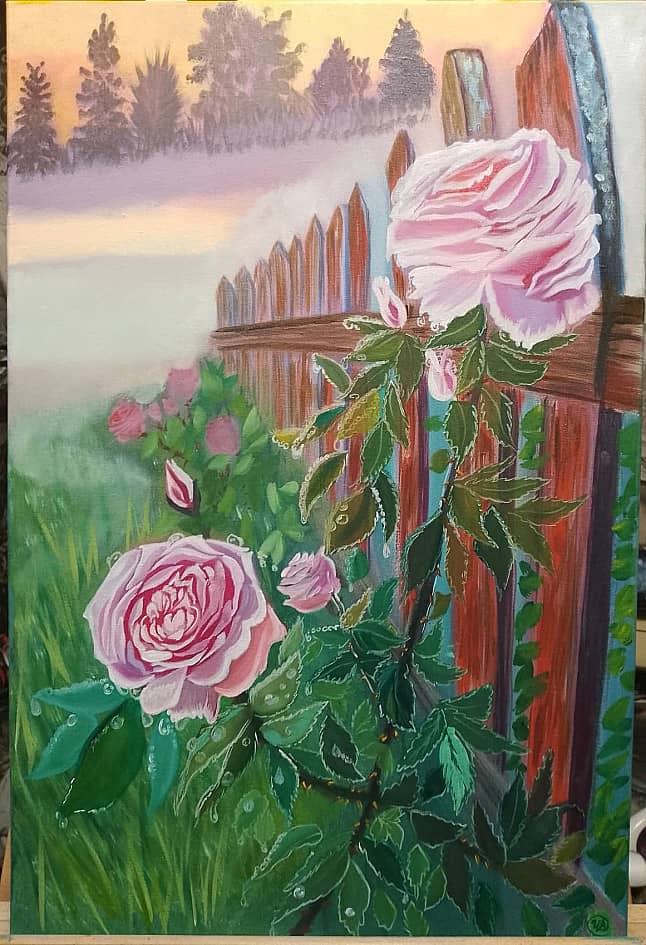 Розы на рассвете.