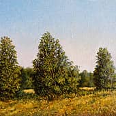 Среди полей. Август 11  Among the Fields. August 11