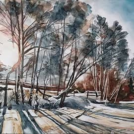 Солнце сквозь ветви