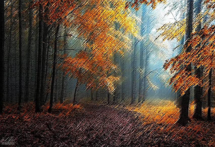 Лесное царство