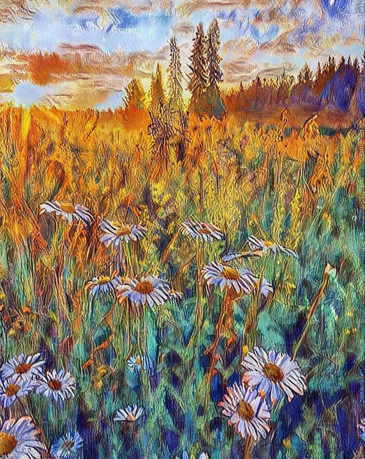 Раз ромашка, два ромашка.