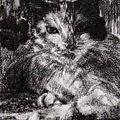 Юлиса, второй портрет