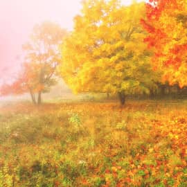 туманный рассвет.3