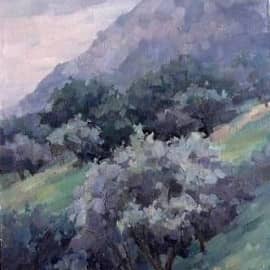 Оливы в пасмурный день. Город Столив Черногория