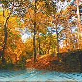 Осенний берег.