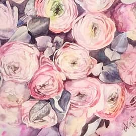 Ранункулюсы