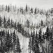 Тёмный лес, художник Карина Андреева