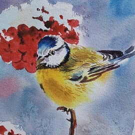 Зима, птичка