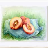 Персики на траве (1), художник Natasha Nesterovich