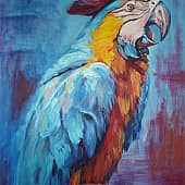 Вот такой я пират.