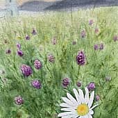 Маяк. Магадан