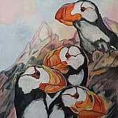 Мальчики-морские попугайчики