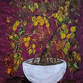 Бонсай "Крыжовник"