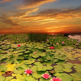 Закат на озере.