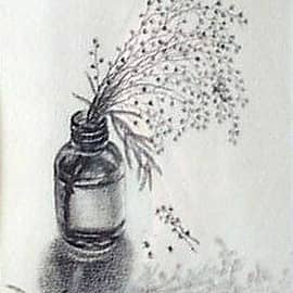 Веточка мимозы  The Sprig of mimosa