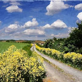 цветущая дорога