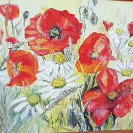 Маки и ромашки