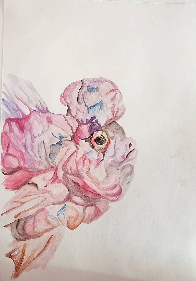 Экзотическая рыбка розовая