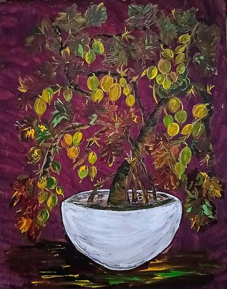 Бонсай "Крыжовник"