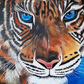Взгляд Тигра