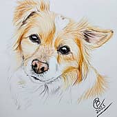 Русская каштанка