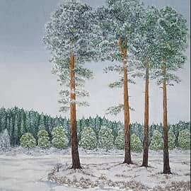 Апрельский утренник на озере.