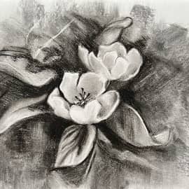 Цветок яблони.